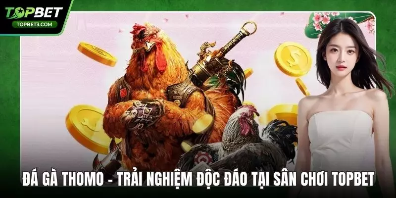 Đá Gà Thomo – Trải Nghiệm Độc Đáo Tại Sân Chơi TOPBET